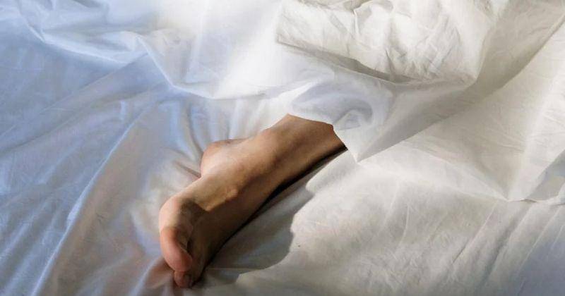 Pexels/Cottonbro studio